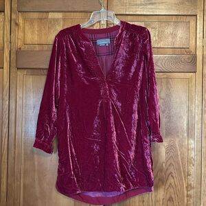 Anthropologie velvet tunic